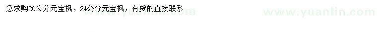 求購(gòu)20、24公分元寶楓