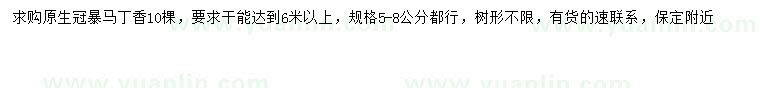 求購5-8公分暴馬丁香