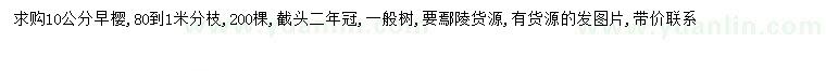 求購10公分早櫻