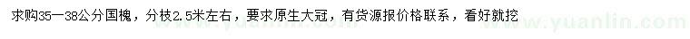 求購35-38公分國槐