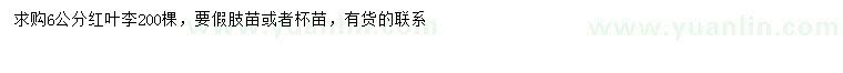求購(gòu)6公分紅葉李