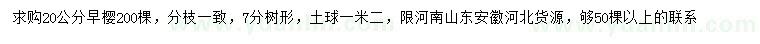 求購20公分早櫻