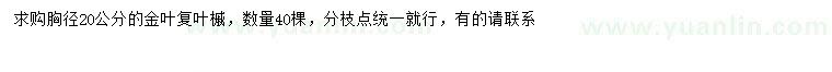 求購(gòu)胸徑20公分金葉復(fù)葉槭