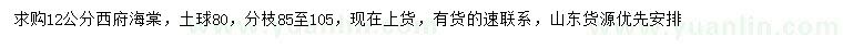 求購(gòu)12公分西府海棠