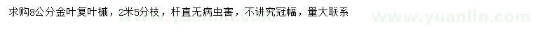 求購8公分金葉復(fù)葉槭