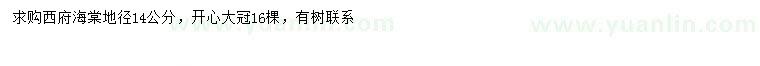 求購西府海棠地徑14公分
