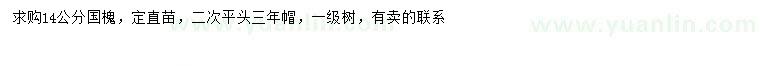 求購14公分國槐