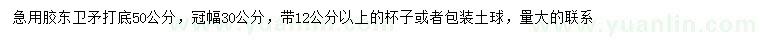 求購50公分以上膠東衛(wèi)矛