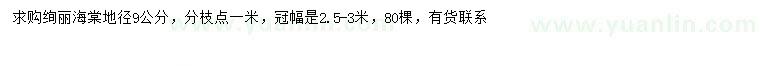 求購地徑9公分絢麗海棠