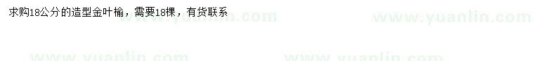 求購(gòu)18公分造型金葉榆