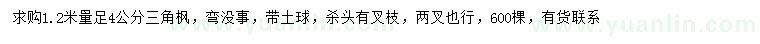 求購1.2米量4公分三角楓
