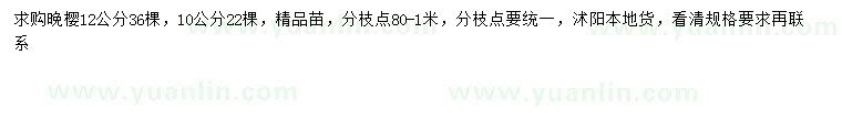 求購10、12公分晚櫻