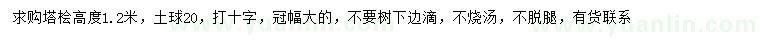求購(gòu)高1.2米塔檜