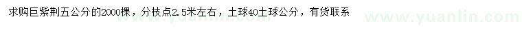 求購5公分巨紫荊
