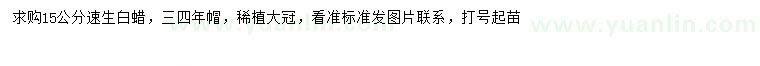 求購15公分速生白蠟