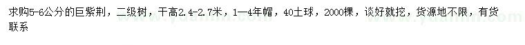 求購5-6公分巨紫荊