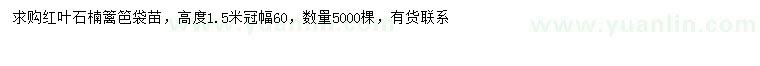 求購(gòu)高1.5米紅葉石楠籬笆苗