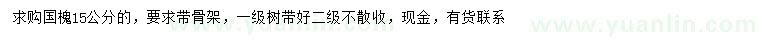 求購15公分國槐