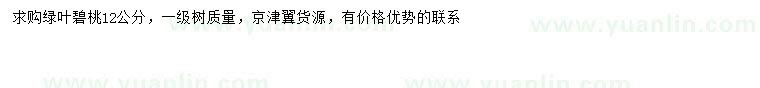 求購12公分綠葉碧桃