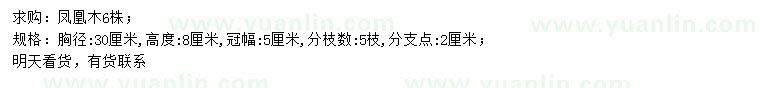 求購胸徑30公分鳳凰木