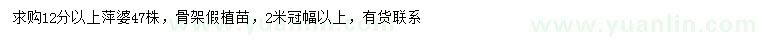 求購12公分以上萍婆