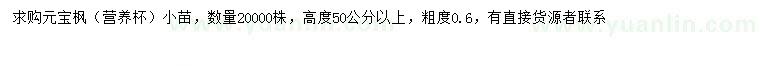 求購高50公分以上元寶楓小苗
