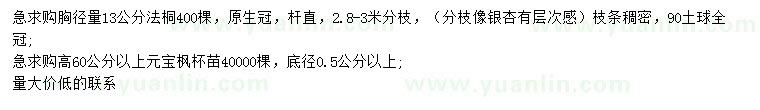 求購胸徑13公分法桐、高60公分以上元寶楓