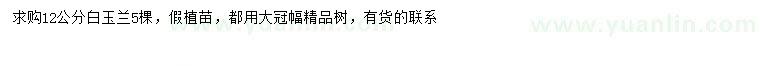求購12公分白玉蘭