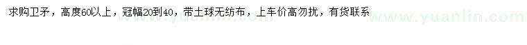 求購(gòu)高60公分以上衛(wèi)矛