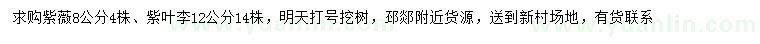 求購8公分紫薇、12公分紫葉李
