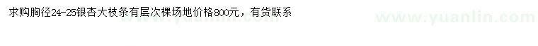 求購胸徑24-25公分銀杏