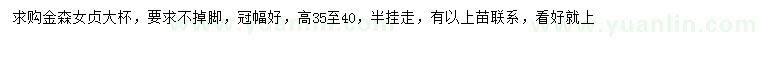 求購高35-40公分金森女貞