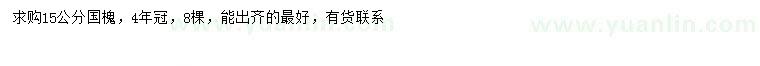 求購15公分國槐