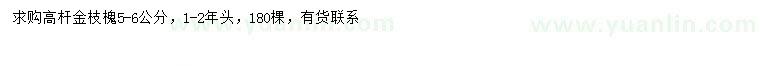 求購(gòu)5-6公分高桿金枝槐