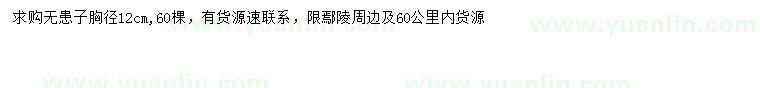 求購(gòu)胸徑12公分無(wú)患子