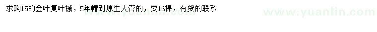 求購15公分金葉復(fù)葉槭
