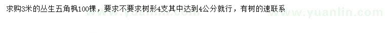 求購3米叢生五角楓