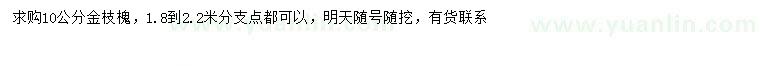 求購10公分金枝槐