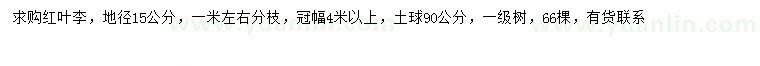 求購地15公分紅葉李