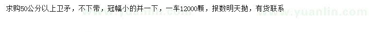 求購50公分以上衛(wèi)矛