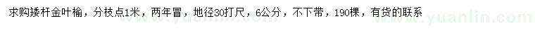 求購(gòu)30量6公分金葉榆