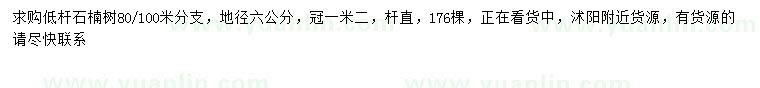 求購地徑6公分石楠