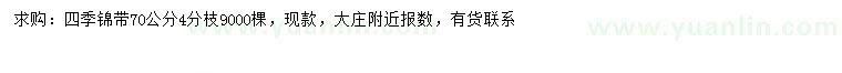 求購70公分四季錦帶