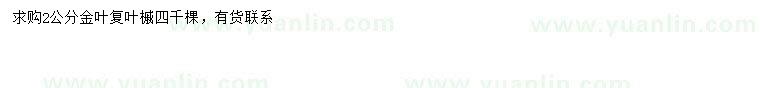 求購(gòu)2公分金葉復(fù)葉槭