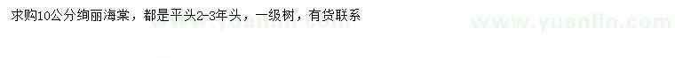 求購10公分絢麗海棠