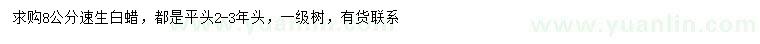 求購8公分速生白蠟