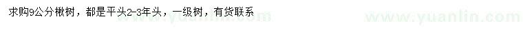 求購9公分楸樹