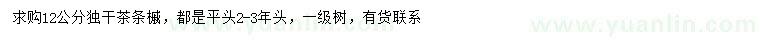 求購12公分茶條槭