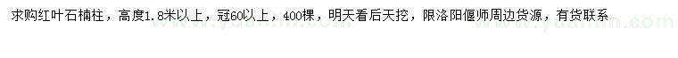 求購高1.8米以上紅葉石楠