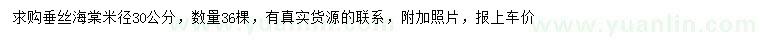 求購米徑30公分垂絲海棠